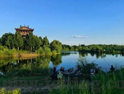 足球比分图文直播-足球比分图文直播，绿茵烽火，实时共赏的激情盛宴